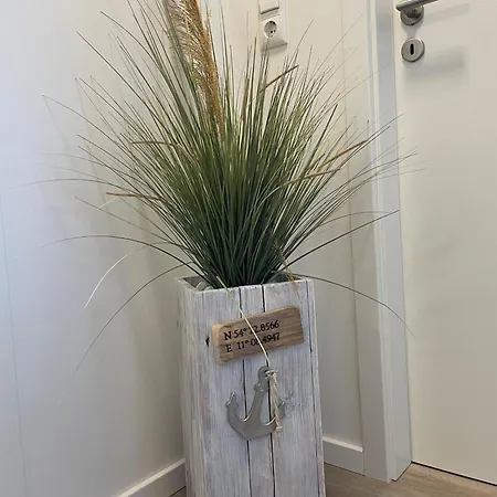 1530 - Seaside Dreemaster Dahme